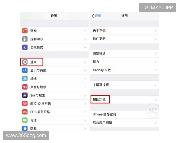 如何在手机上安全高效地使用yin bet app体育投注平台
